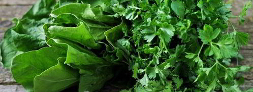 соус песто из первой зелени. Шаг 4