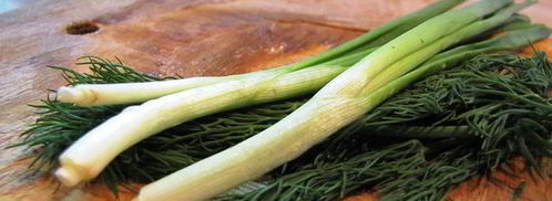 соус тартар с солеными огурчиками. Шаг 5