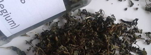 сливовый соус ткемали. Шаг 5