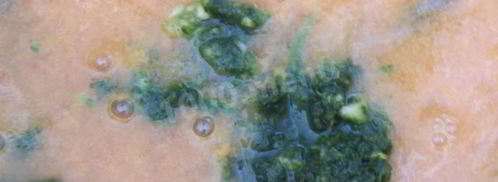 соус ткемали из слив. Шаг 12