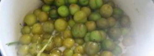 соус ткемали из зеленых слив. Шаг 3