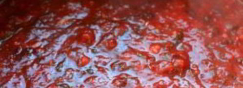 соус ткемали классический. Шаг 10