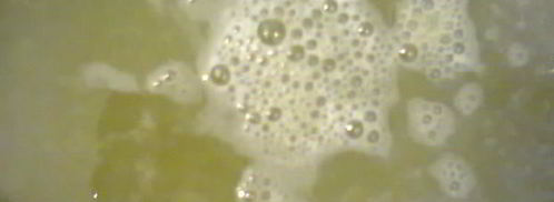 соус зеленый ткемали. Шаг 5