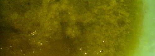 соус зеленый ткемали. Шаг 7