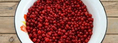 ткемали из красной смородины. Шаг 5