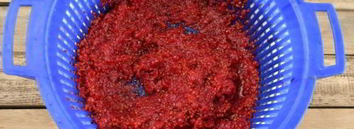 ткемали из красной смородины. Шаг 7