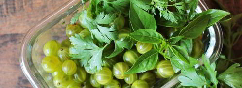 ткемали из крыжовника. Шаг 3