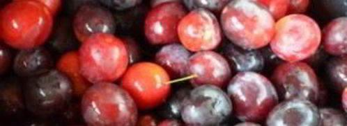 ткемали. Шаг 3