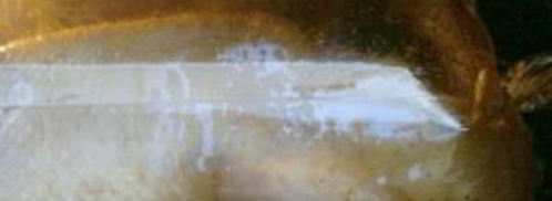 утка в соусе ткемали с медом. Шаг 13