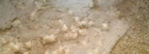 сырный соус из плавленого сыра. Шаг 3