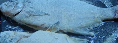 борщ с грибами и карасями по-днепропетровски. Шаг 8