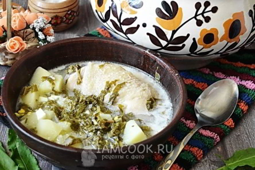 Рецепт зеленого борща в мультиварке