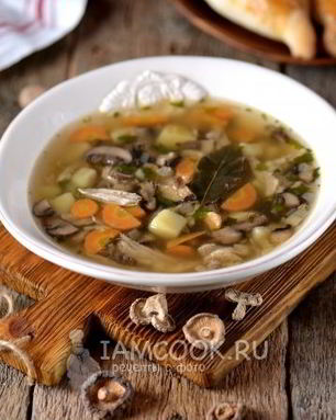 Грибной суп на курином бульоне
