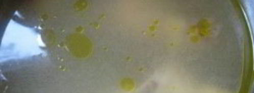 куриный бульон с лапшой. Шаг 4