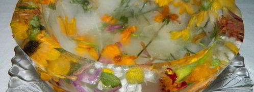 арбузный гаспачо в ледяной тарелке. Шаг 18