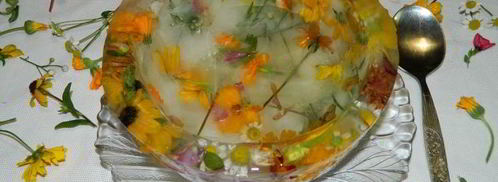 арбузный гаспачо в ледяной тарелке. Шаг 19