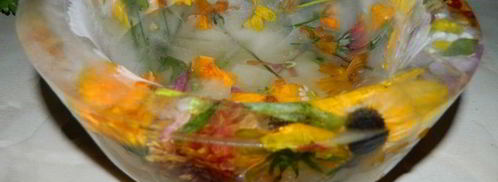 арбузный гаспачо в ледяной тарелке. Шаг 7