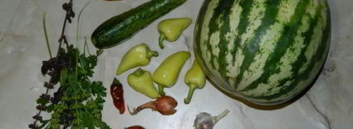 арбузный гаспачо в ледяной тарелке. Шаг 8