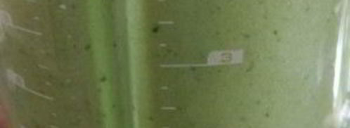 зеленый гаспачо для сыроедов. Шаг 5