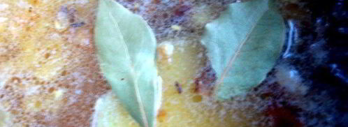 гороховый суп с копченостями и тыквой. Шаг 16