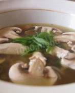 Грибной суп с курицей из шампиньонов