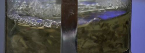 холодный суп из персиков. Шаг 3