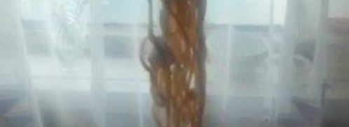 лагман с тянутой лапшой. Шаг 26