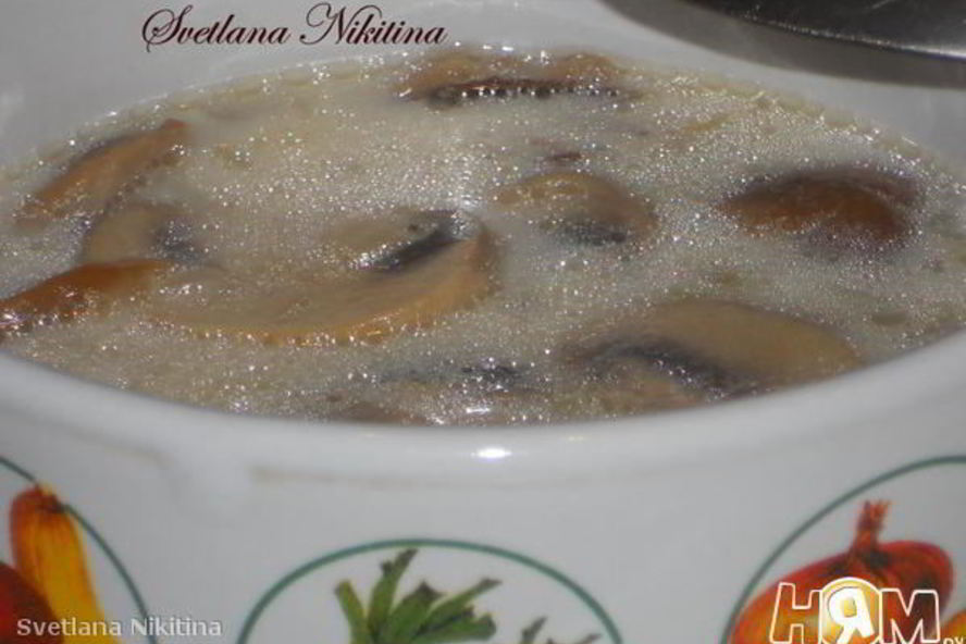 Рецепт молочного супа с грибами