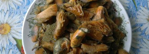 молочный суп с рыжиками. Шаг 7