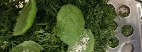 окрошка-мохито. Шаг 6