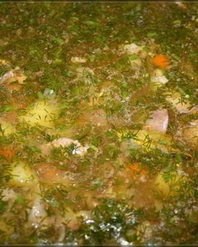 Похлебка русская