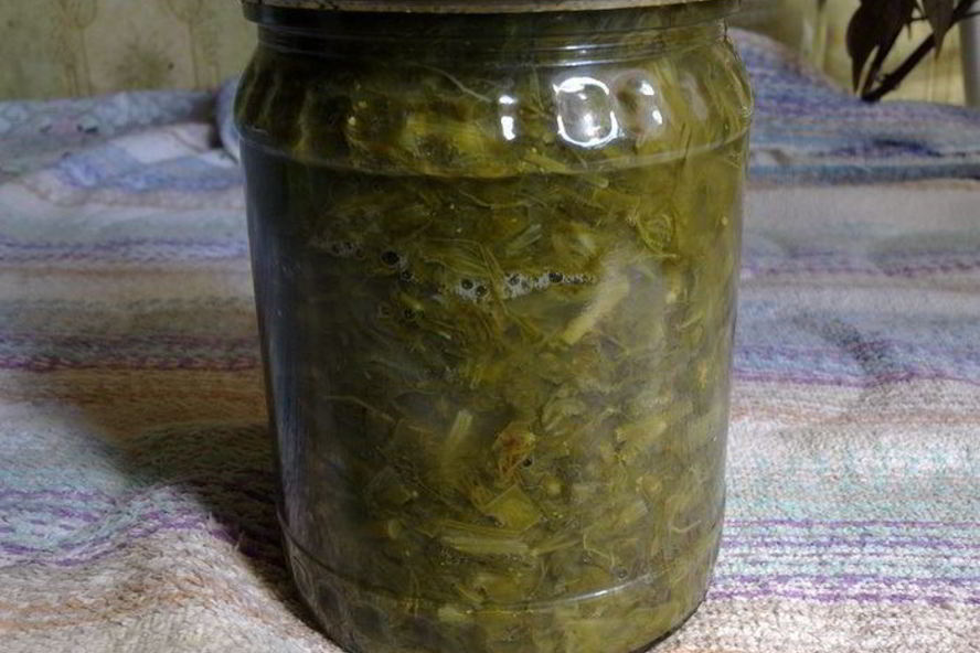 Рецепт щавеля для летних щей зимой