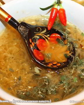 ЩИ из квашеной капусты с уткой