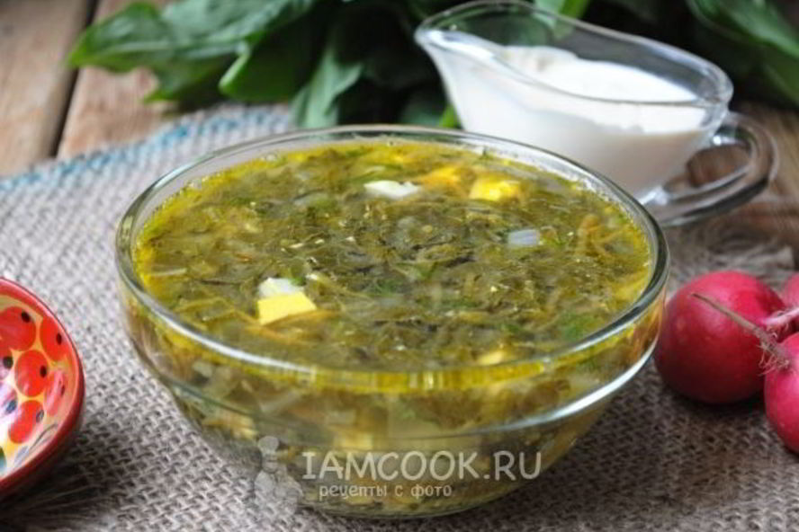 Рецепт щей из щавеля на курином бульоне