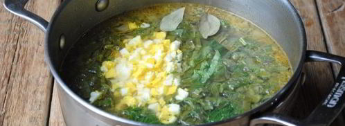 щи из щавеля на курином бульоне. Шаг 10