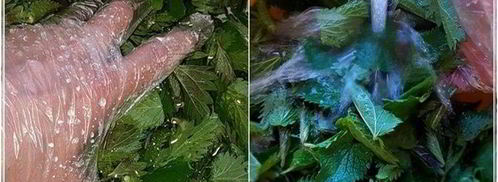 щи с крапивой, щавелем и говяжьими ребрышками. Шаг 12