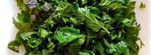 щи с крапивой, щавелем и говяжьими ребрышками. Шаг 13