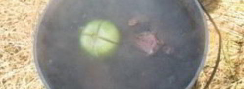 шурпа из утки. Шаг 4