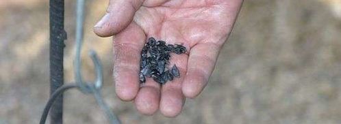 шурпа в котле. Шаг 61