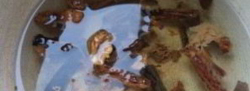 солянка из квашенной капусты. Шаг 3