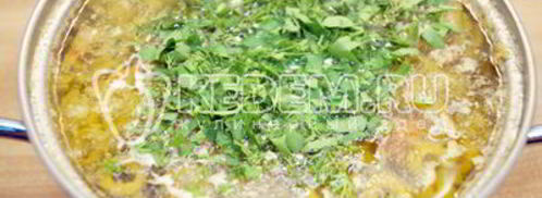 солянка сборная. Шаг 13