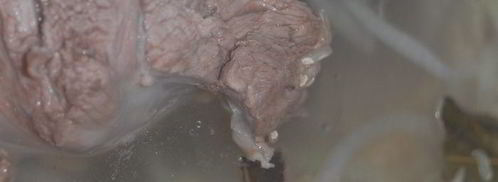 харчо из баранины. Шаг 3