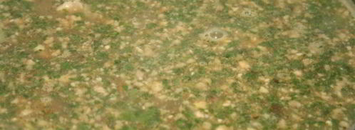 суп харчо с грецкими орехами. Шаг 10