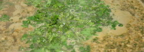 суп харчо с грецкими орехами. Шаг 11