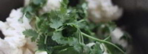 суп-пюре из цветной капусты диетический. Шаг 3