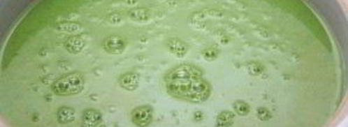 суп-пюре из зеленого гороха. Шаг 6