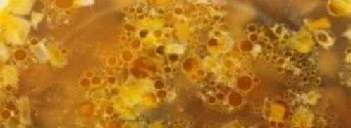 суп с лесными грибами. Шаг 12