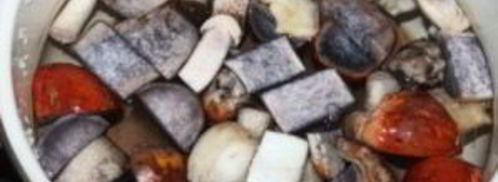 суп с лесными грибами. Шаг 4