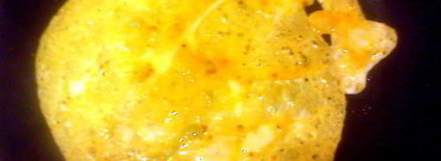 свекольник с яичной путанкой. Шаг 8