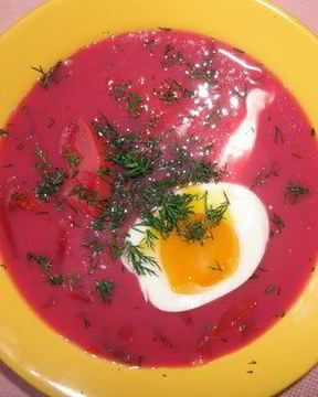 Свекольник уникальный